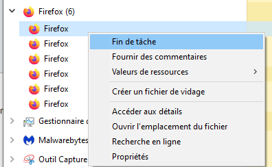 Capture-mettre fin aux instance des processus Ffox.PNG