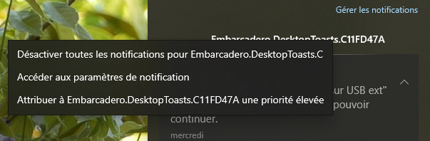 Capture-embarcadero DesktopToast .PNG