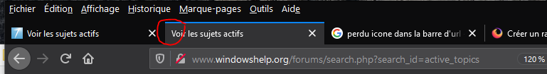 Capture-perdu icône de la barre d'URL de Windowshelp.PNG