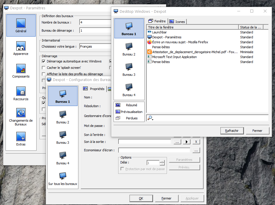 Capture-Logiciel Dextop en mode portable sur PC.PNG