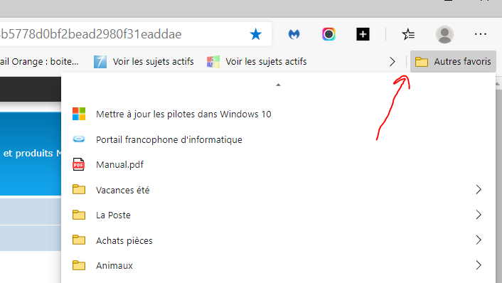 Capture-favoris liste verticale Edge.PNG