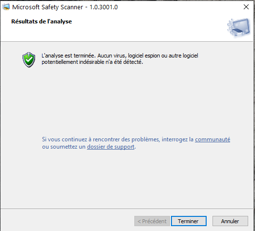 Capture-Result MSRT.PNG