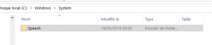 Capture-dsique local windows système.GIF