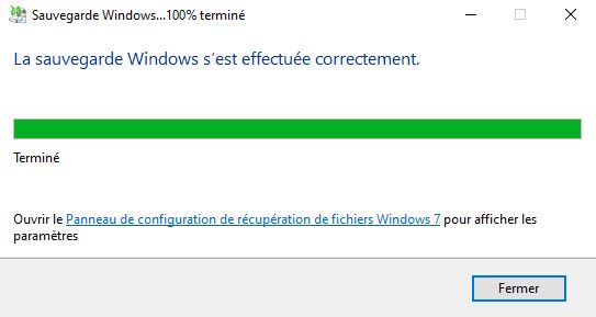 sauvegarde fini 2.JPG