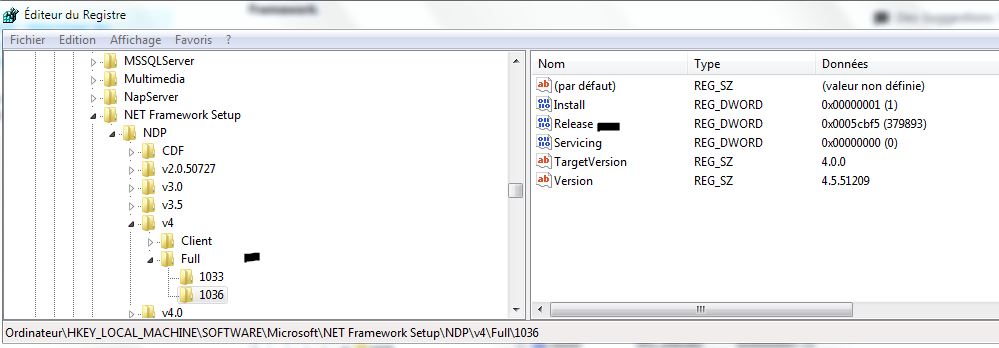 Capture-exemple pour savoir pour Net.framework 4.5 sous Windows 7.JPG