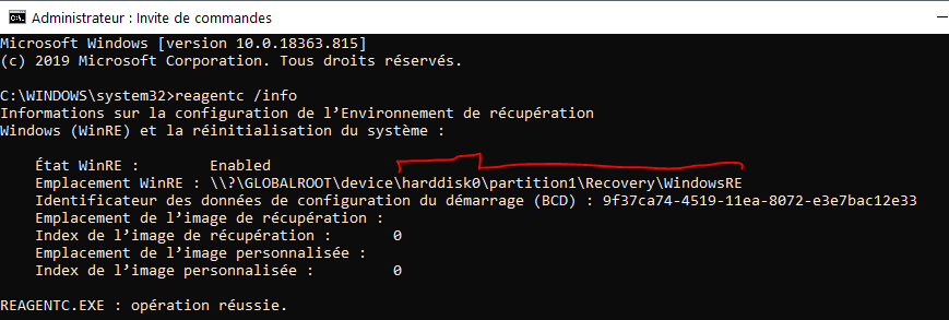 Capture-reagentc -info Winre.PNG