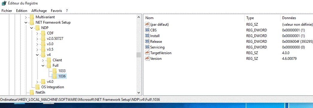 Capture-Net.framework Windows 10.GIF