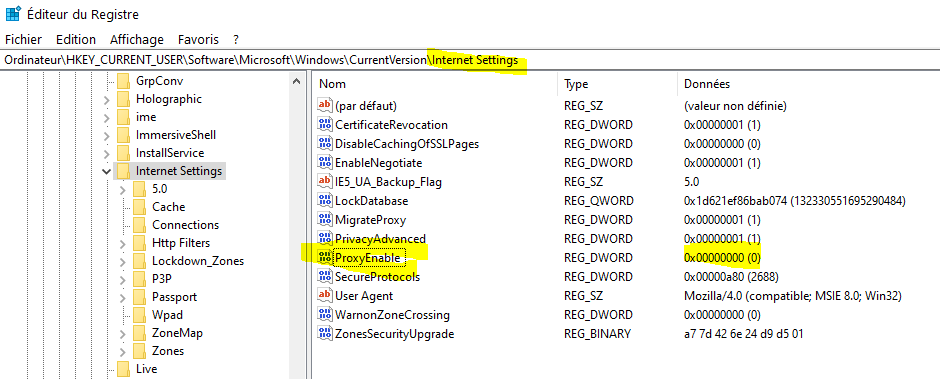 Capture-Proxy internet dans windows 10 fonctionnel.PNG