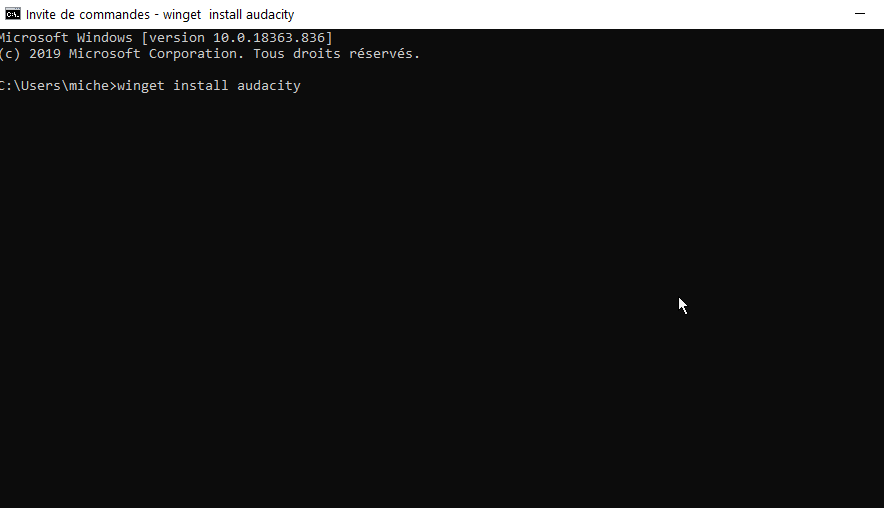 Winget en action audactity.gif