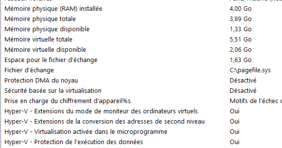 Capture-infos système.PNG