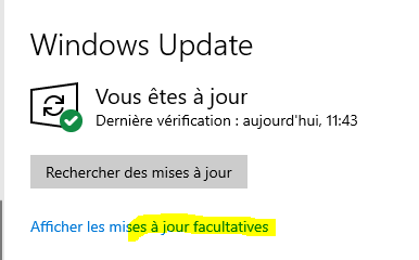 Capture-Mises à jour facultatives.PNG