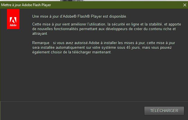 Capture flahs player.JPG