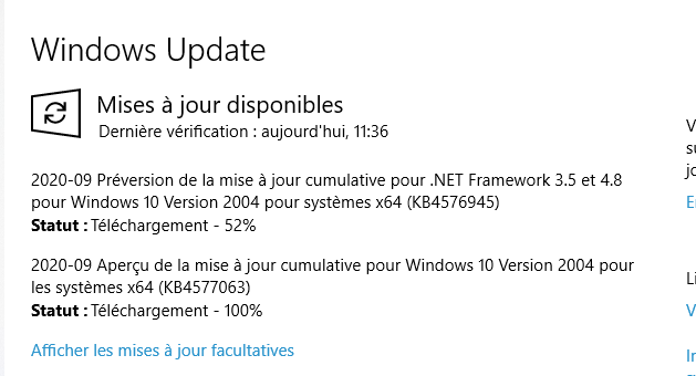 Capture-mises à jour NetFramework 3.5 4.8 et facultative.PNG