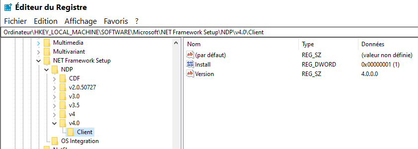 Capture-clé NetFramework 4.PNG