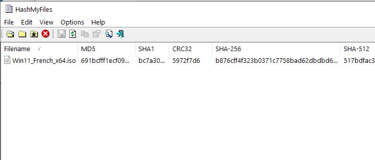 Capture-Hashtab Nirsoft.JPG