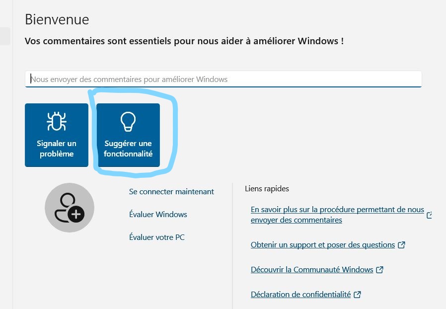 Capture-HUB de commentaires Windows_LI.jpg