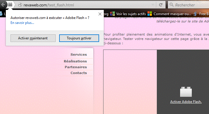Capture-activer flash.GIF