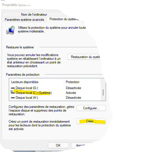 Capture d’écran protection système WS11.png