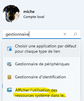 Capture d’écran Gestionnaire de tâches.png