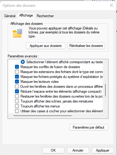 Capture d’écran réduire l'espace entre dossiers Windows 11_2022-04-24 103929.png