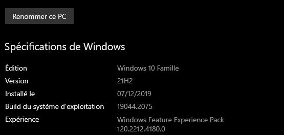 Capture spécifications w10.JPG