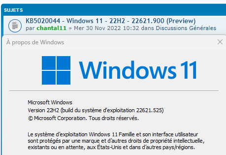 Capture d’écran Version 22H2 sur Hasleo réinstallé-2022-12-01 174705.png