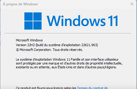 Capture d’écran-Maj 22H2 ..963 2023-01-09 154528.png