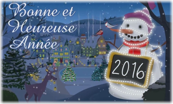Voeux 2016.jpg